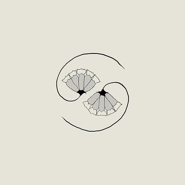 middle9 SEATH AS BECOME KNOWN CD 未開封 middle9 SEATH AS BECOME KNOWN CD 未開封 middle9 SEATH AS